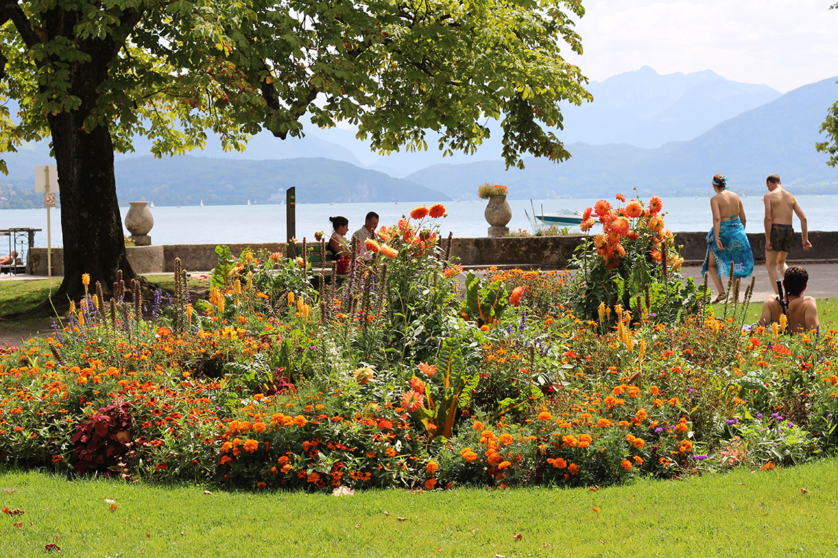 Colourful flower border in Annecy