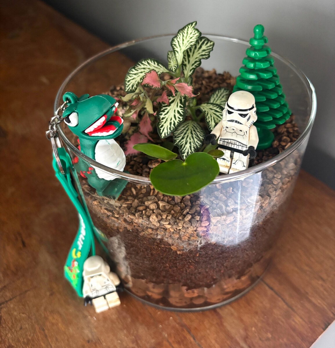 Terrarium decorated with toys